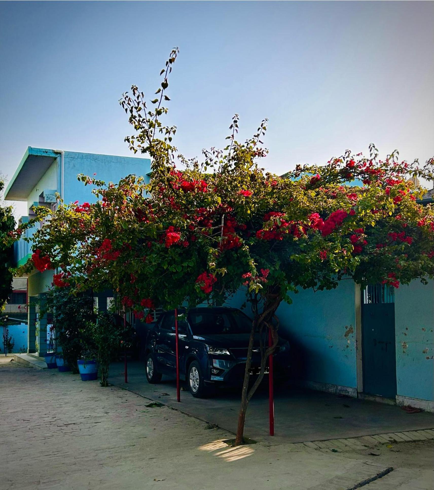 Gooseberry Garden Ayodhya Exterior foto