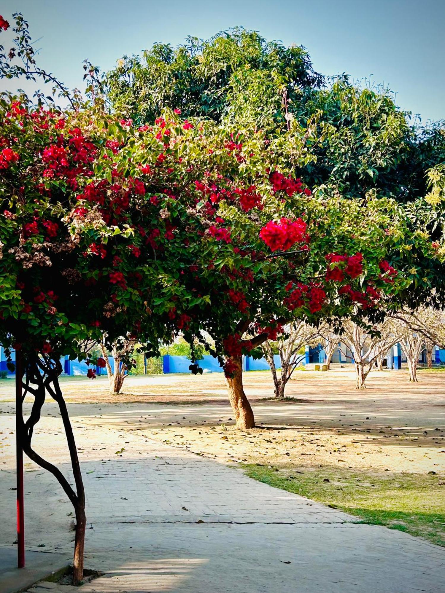 Gooseberry Garden Ayodhya Exterior foto